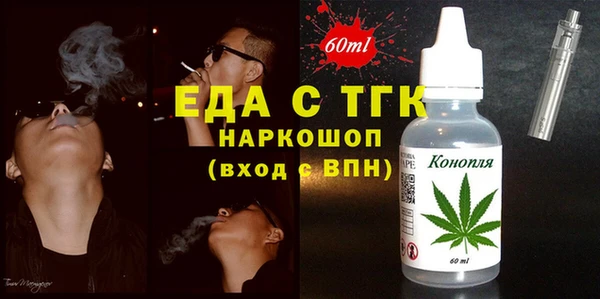 индика Лихославль