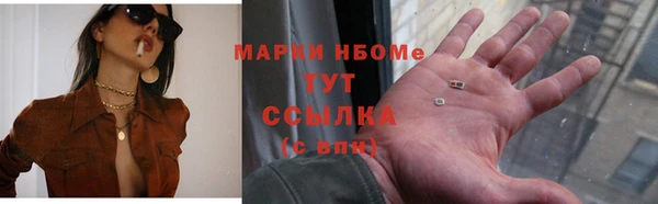 индика Лихославль