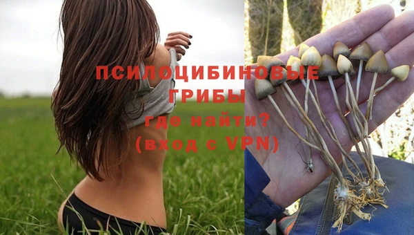 индика Лихославль