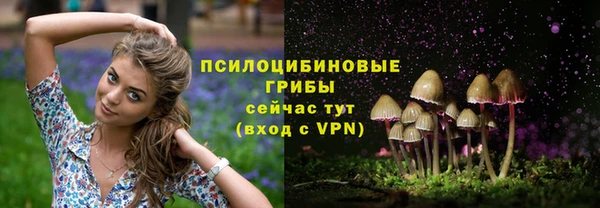 индика Лихославль