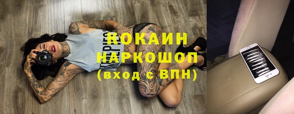 индика Лихославль