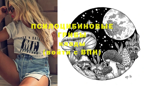 индика Лихославль