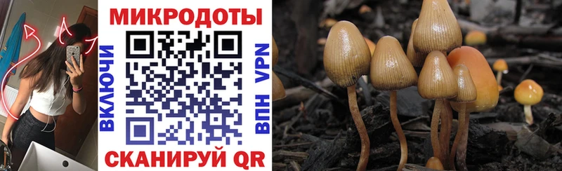 Галлюциногенные грибы мухоморы  Томари 